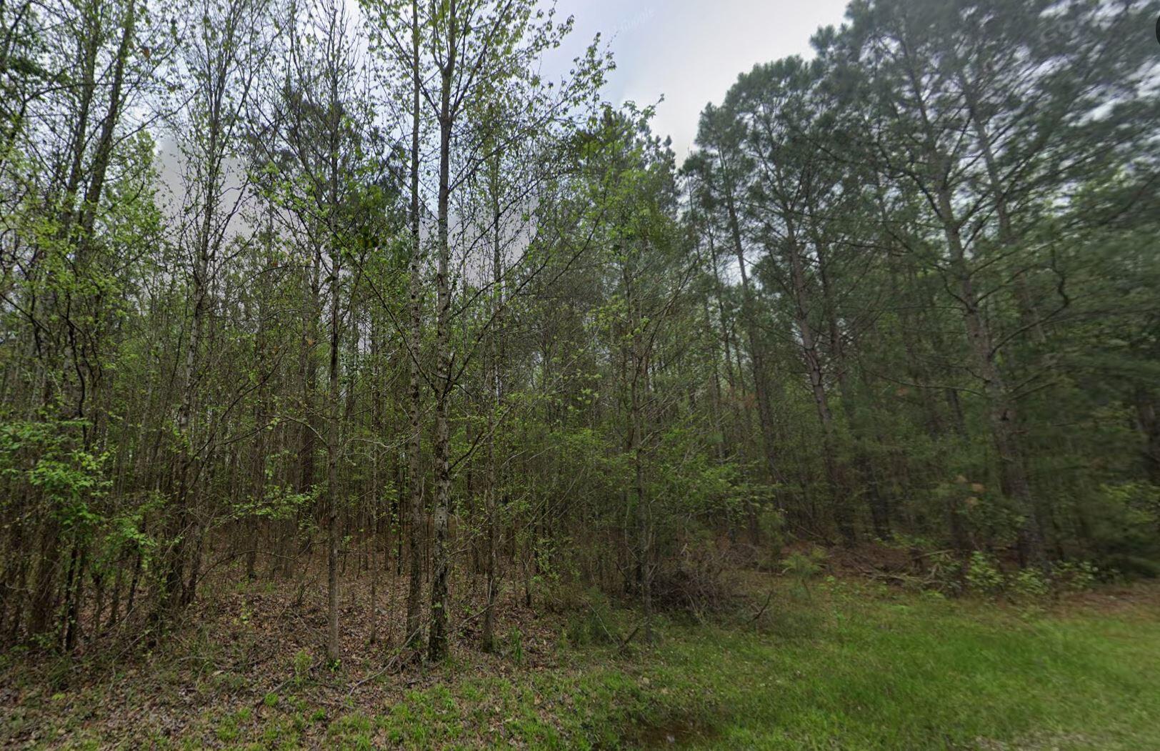 0 St Mary's Road Crawfordville, GA 30631 - Photo 11 of 32 0 st marys rd sw - st view 3