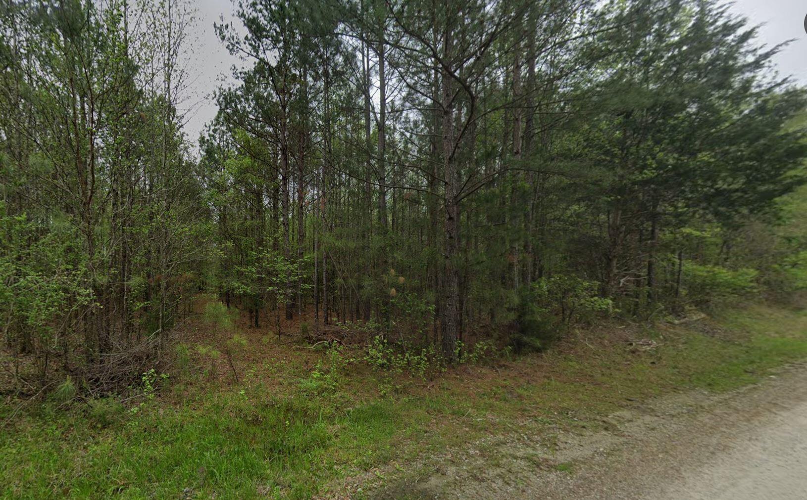 0 St Mary's Road Crawfordville, GA 30631 - Photo 12 of 32 0 st marys rd sw - st view 2