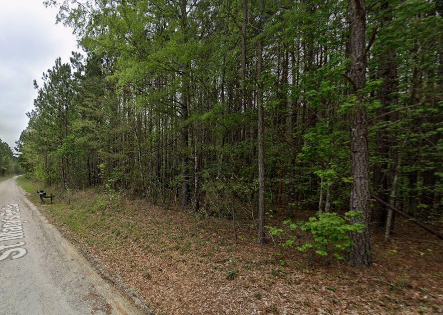 0 St Mary's Road Crawfordville, GA 30631 - Photo 13 of 32 0 st marys rd sw - st view 1