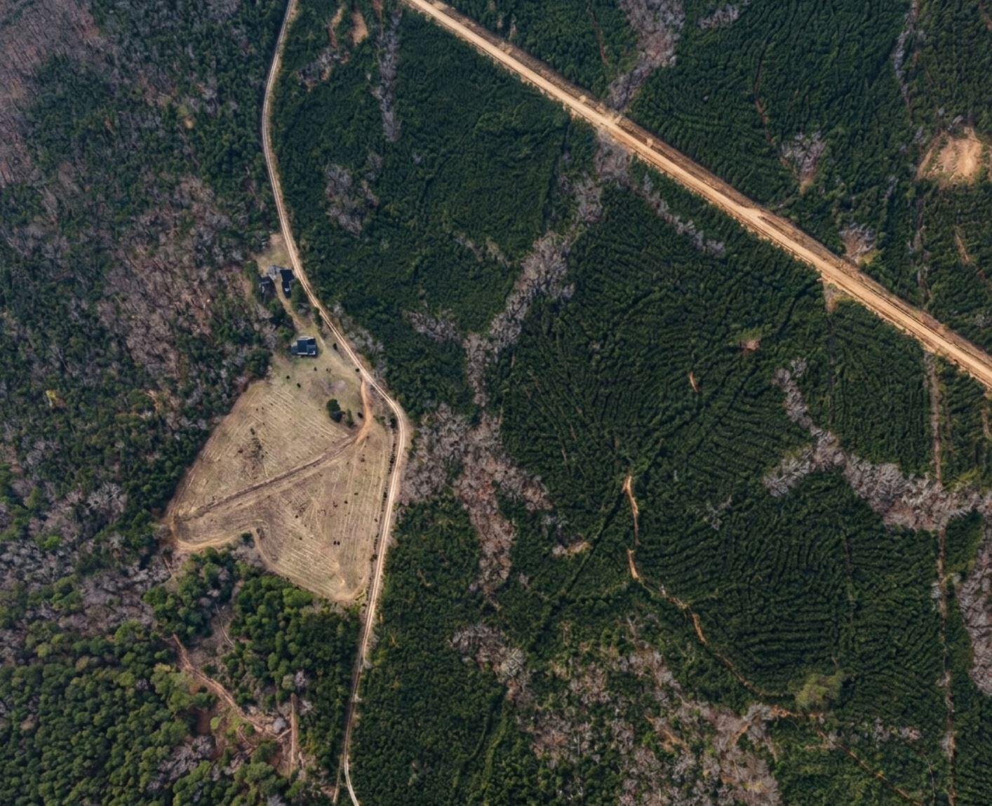 0 St Mary's Road Crawfordville, GA 30631 - Photo 15 of 32 0 st marys rd sw - aerial pic 7