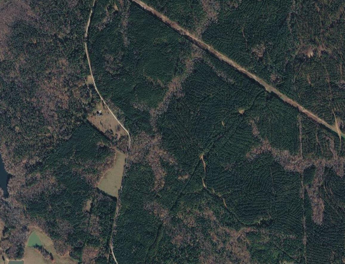 0 St Mary's Road Crawfordville, GA 30631 - Photo 16 of 32 0 st marys rd sw - aerial pic 5