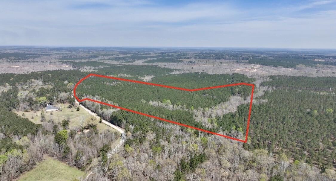 0 St Mary's Road Crawfordville, GA 30631 - Photo 19 of 32 IMG_7382