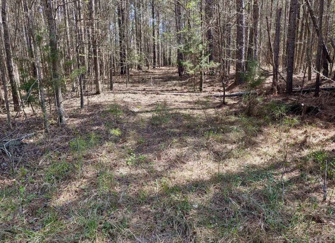 0 St Mary's Road Crawfordville, GA 30631 - Photo 22 of 32 IMG_7379