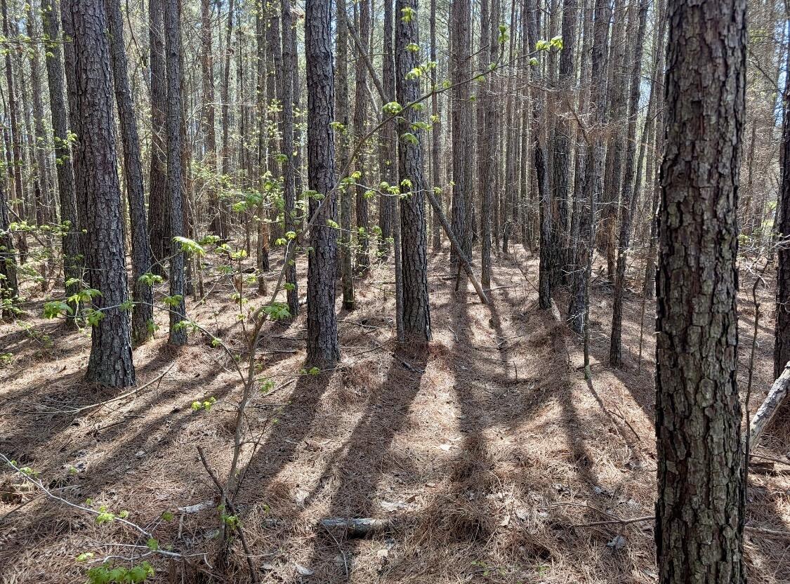 0 St Mary's Road Crawfordville, GA 30631 - Photo 24 of 32 IMG_7376