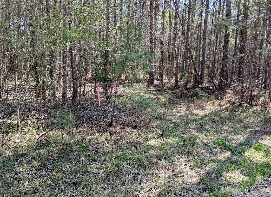 0 St Mary's Road Crawfordville, GA 30631 - Photo 25 of 32 IMG_7378