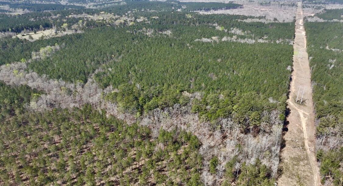 0 St Mary's Road Crawfordville, GA 30631 - Photo 29 of 32 IMG_7372