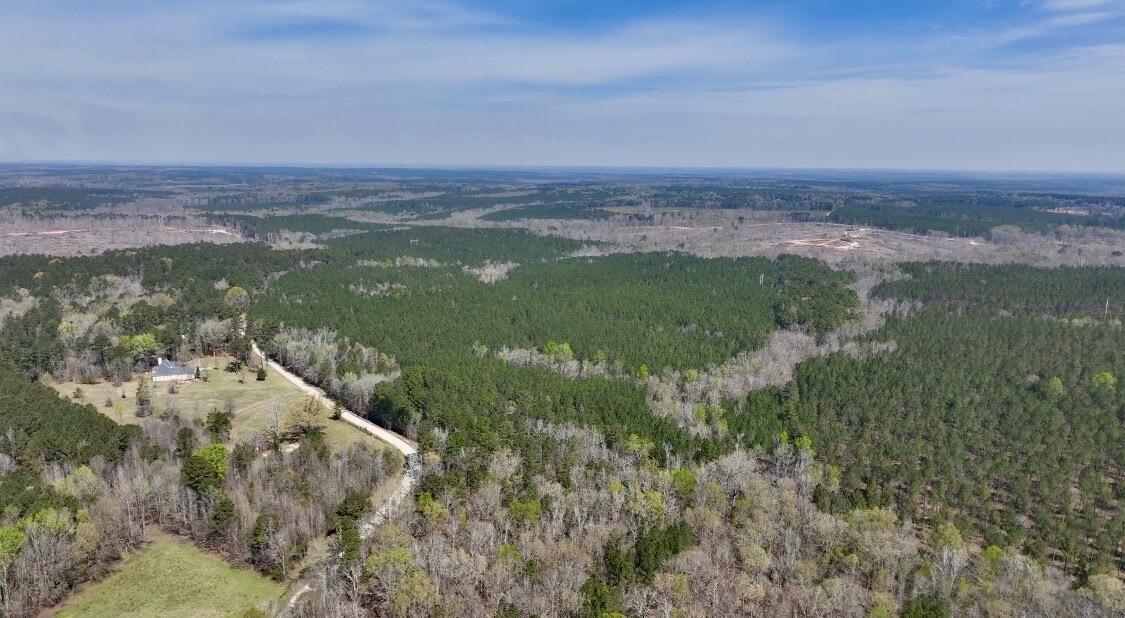 0 St Mary's Road Crawfordville, GA 30631 - Photo 30 of 32 IMG_7371