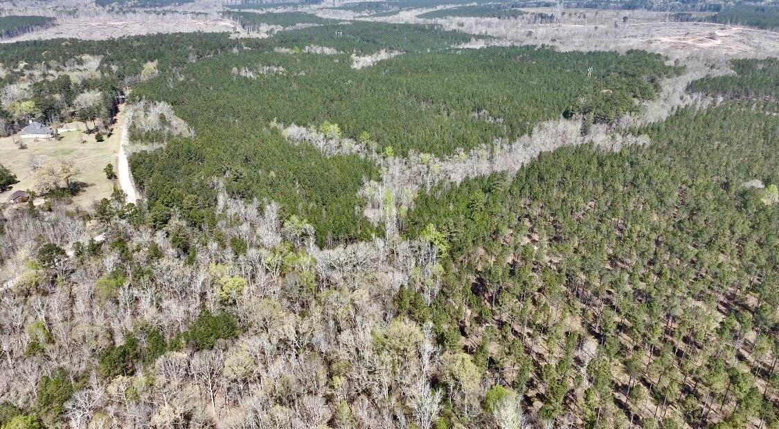 0 St Mary's Road Crawfordville, GA 30631 - Photo 31 of 32 IMG_7370