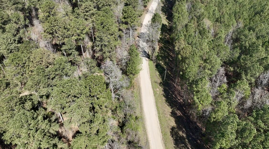 0 St Mary's Road Crawfordville, GA 30631 - Photo 32 of 32 IMG_7369