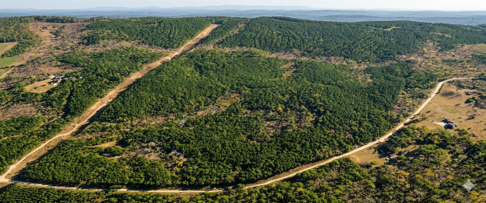 0 St Mary's Road Crawfordville, GA 30631 - Photo 4 of 32 image_40b1b604