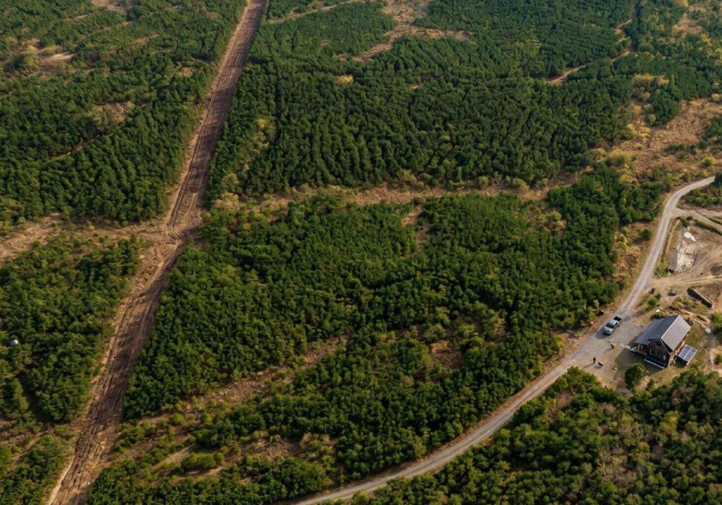 0 St Mary's Road Crawfordville, GA 30631 - Photo 5 of 32 0 st marys rd sw - aerial pic 4