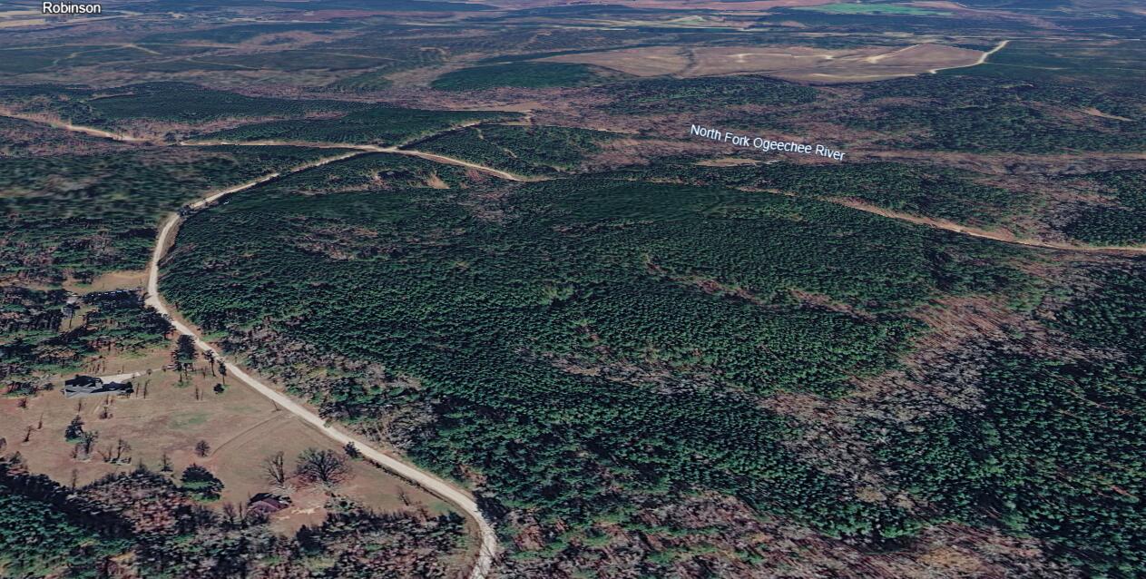 0 St Mary's Road Crawfordville, GA 30631 - Photo 6 of 32 Screenshot 2026-03-16 181457