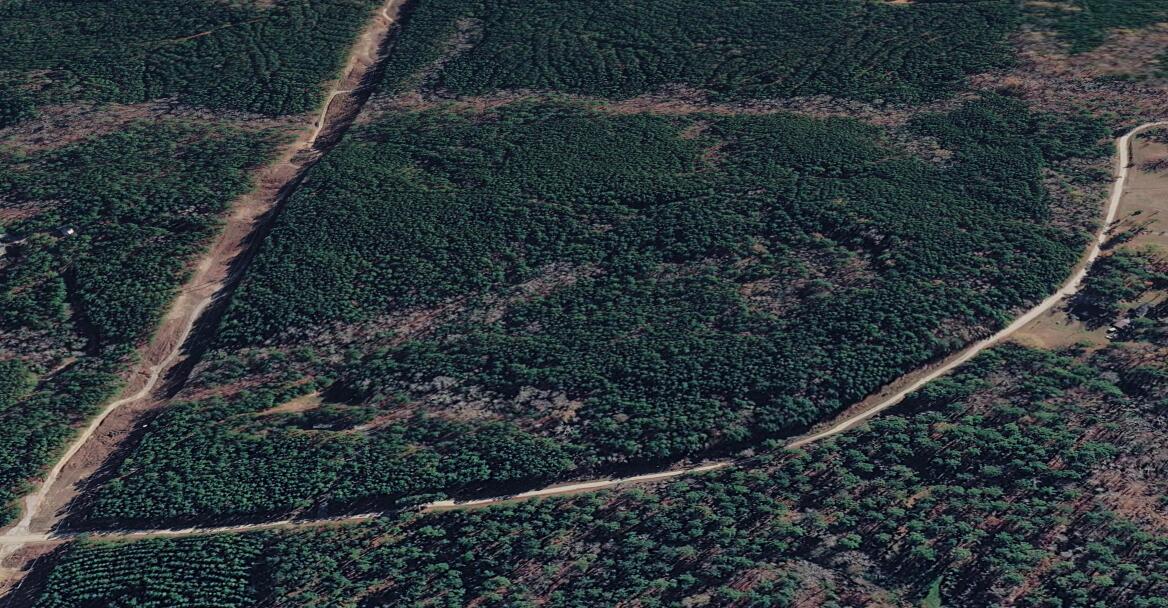 0 St Mary's Road Crawfordville, GA 30631 - Photo 8 of 32 Screenshot 2026-03-16 181825