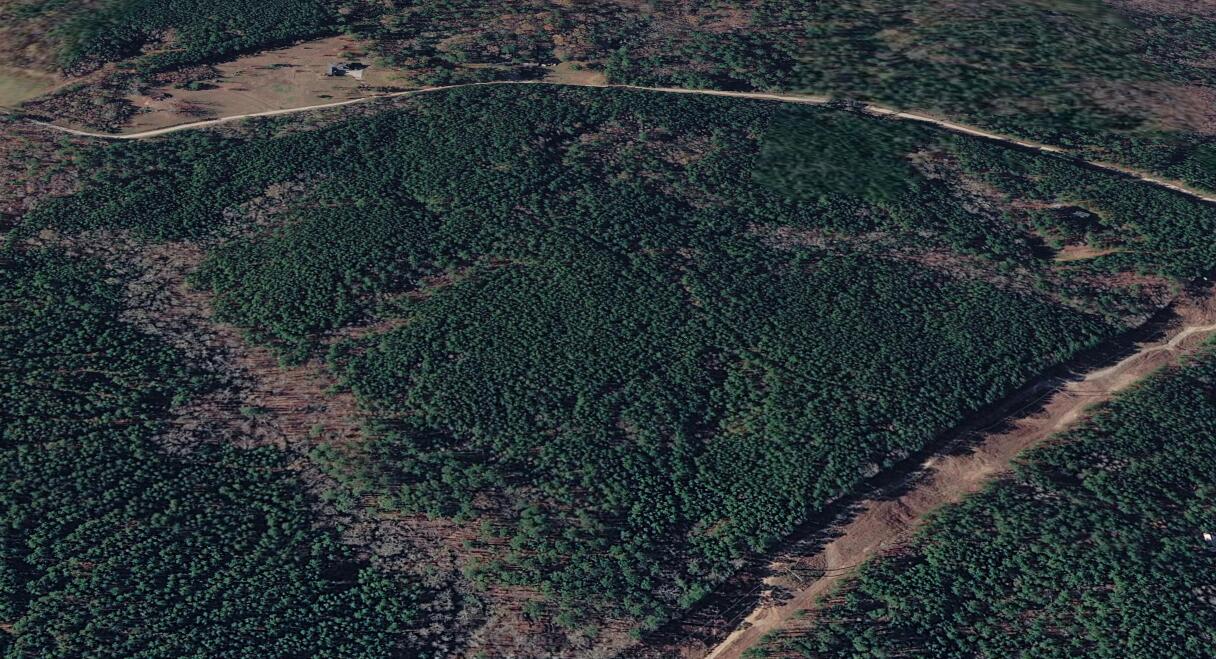 0 St Mary's Road Crawfordville, GA 30631 - Photo 9 of 32 Screenshot 2026-03-16 181751