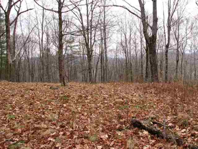 0 Eagleville Road Shushan, NY 12873 - Photo 5 of 11 Photo 5