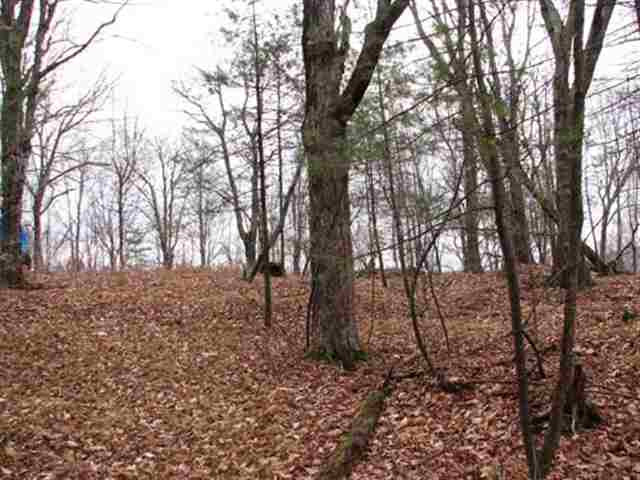 0 Eagleville Road Shushan, NY 12873 - Photo 6 of 11 Photo 6