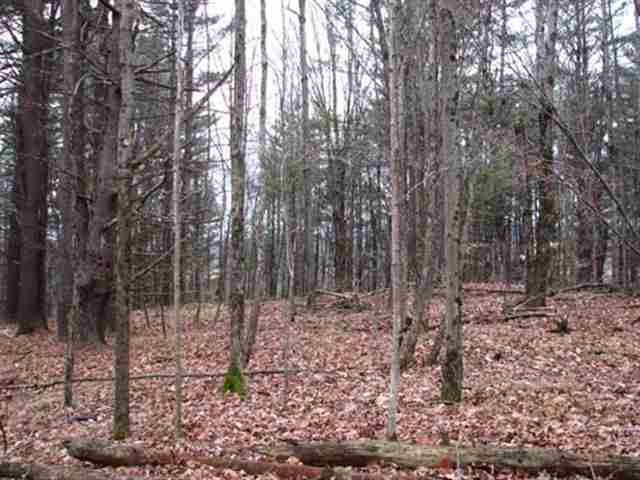0 Eagleville Road Shushan, NY 12873 - Photo 8 of 11 Photo 8
