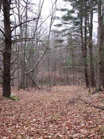 0 Eagleville Road Shushan, NY 12873 - Photo 9 of 11 Photo 9