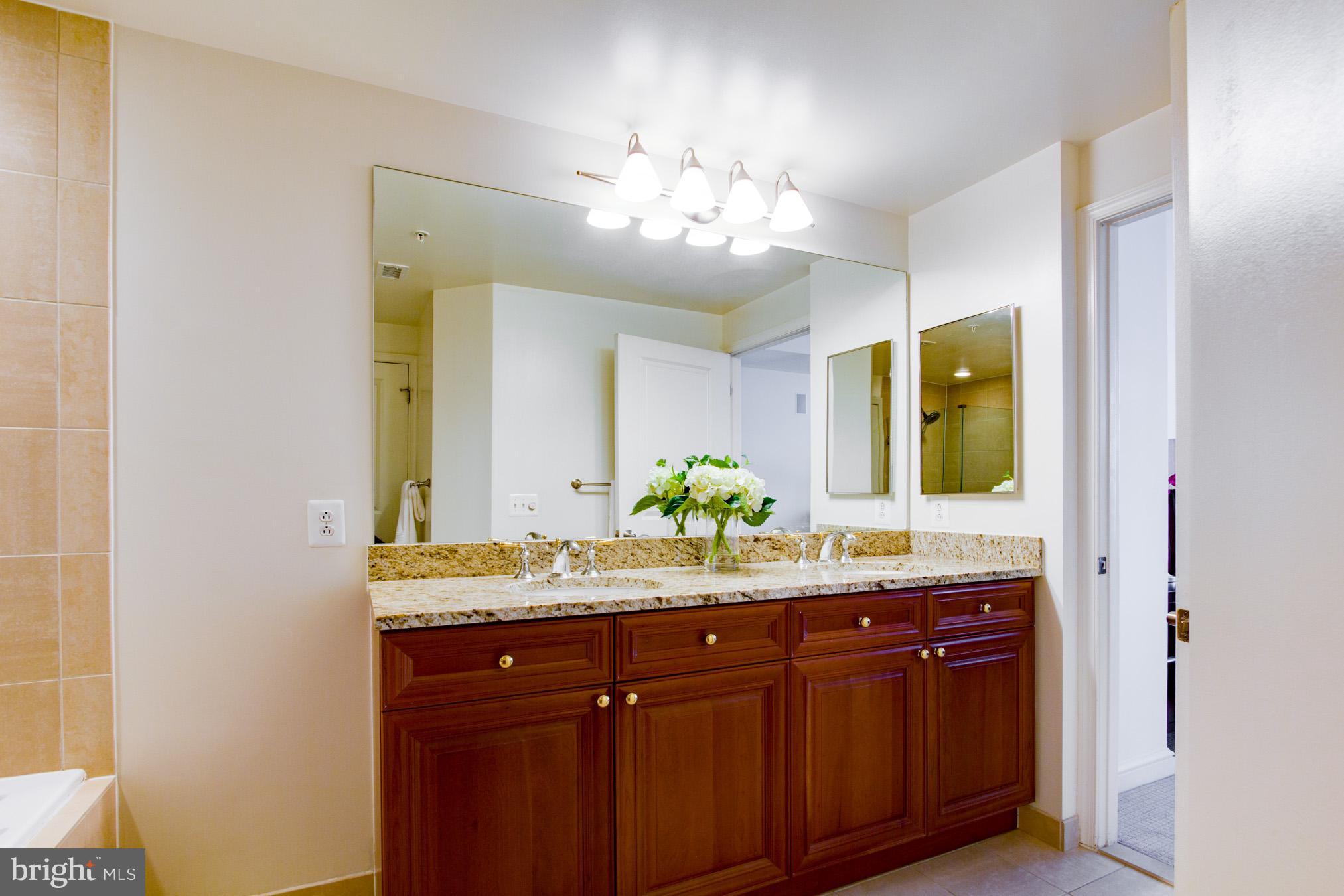 11990 Market Street, Unit 917 Reston, VA 20190 - Photo 21 of 39 Bath (Master)