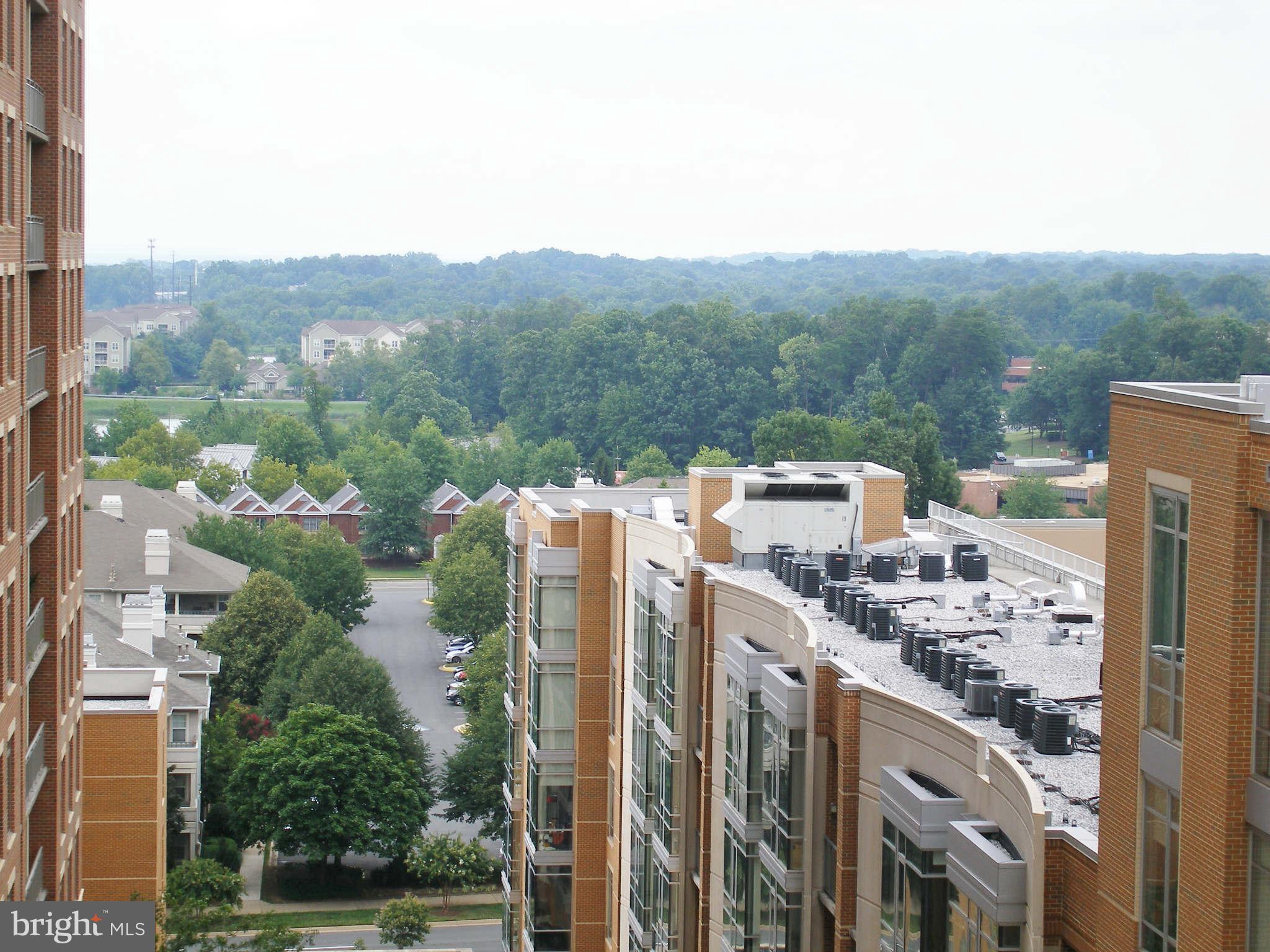 11990 Market Street, Unit 917 Reston, VA 20190 - Photo 24 of 39 View north