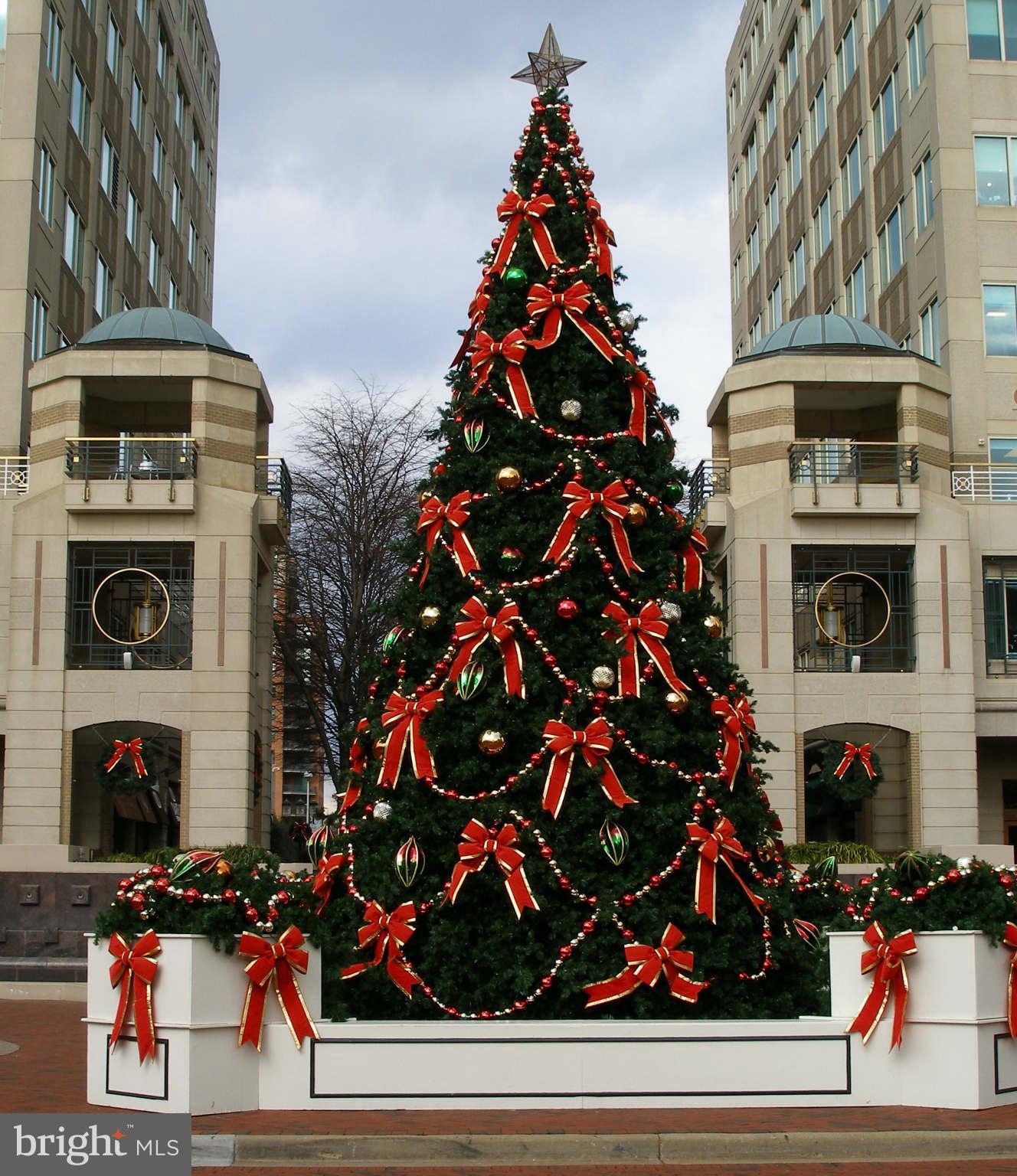 11990 Market Street, Unit 917 Reston, VA 20190 - Photo 38 of 39 Reston Town Center Holiday Time
