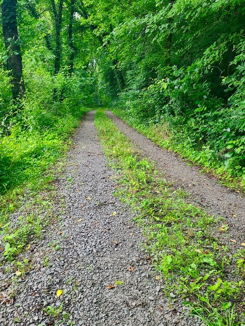 1640 Allen Brown Road Lewisburg, TN 37091 - Photo 3 of 3