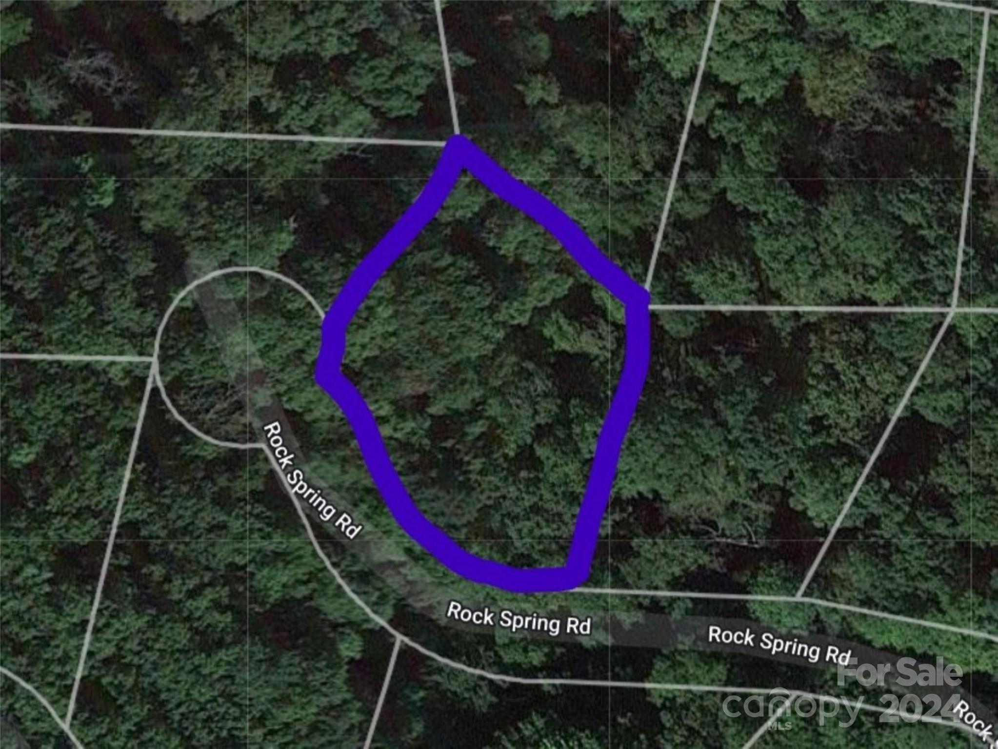 Lot 93 Rock Spring Rd Lake Lake Lure, NC 28746 - Photo 1 of 16 Gallery Image 1