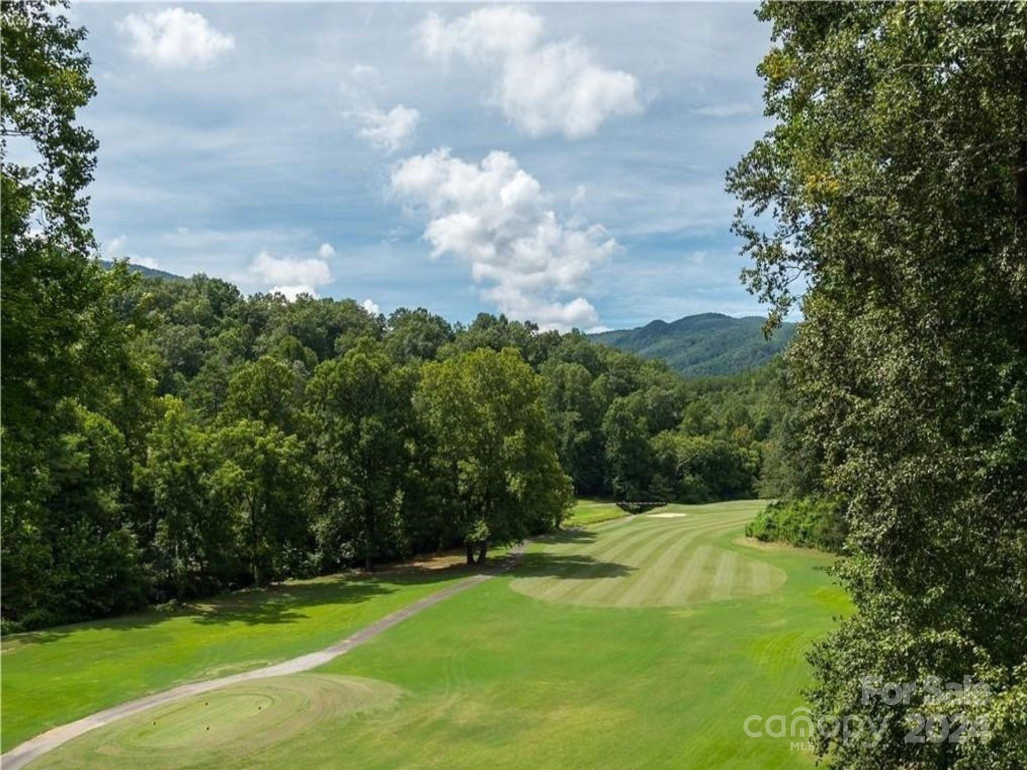Lot 93 Rock Spring Rd Lake Lake Lure, NC 28746 - Photo 11 of 16 Gallery Image 11