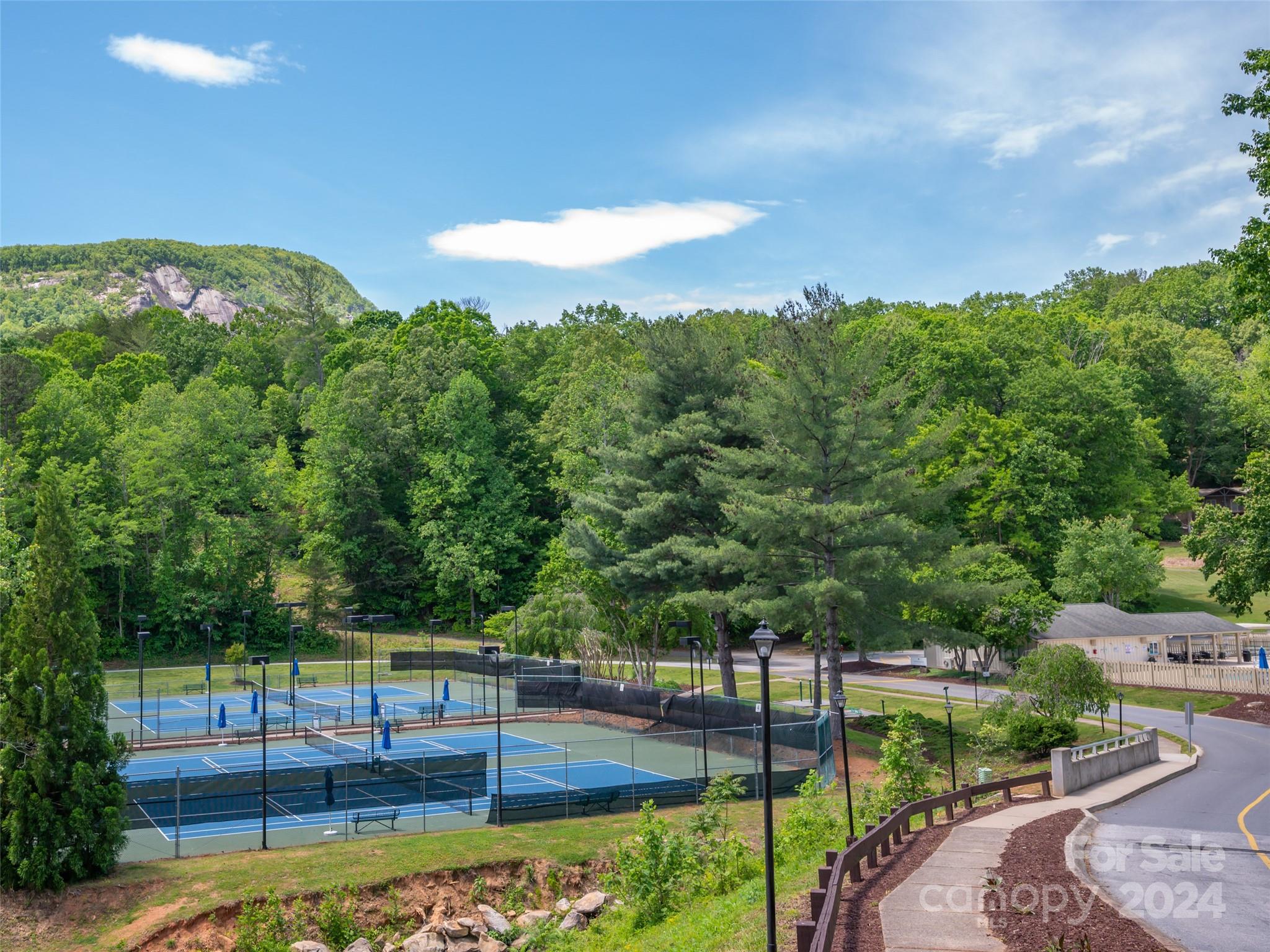 Lot 93 Rock Spring Rd Lake Lake Lure, NC 28746 - Photo 12 of 16 Gallery Image 12