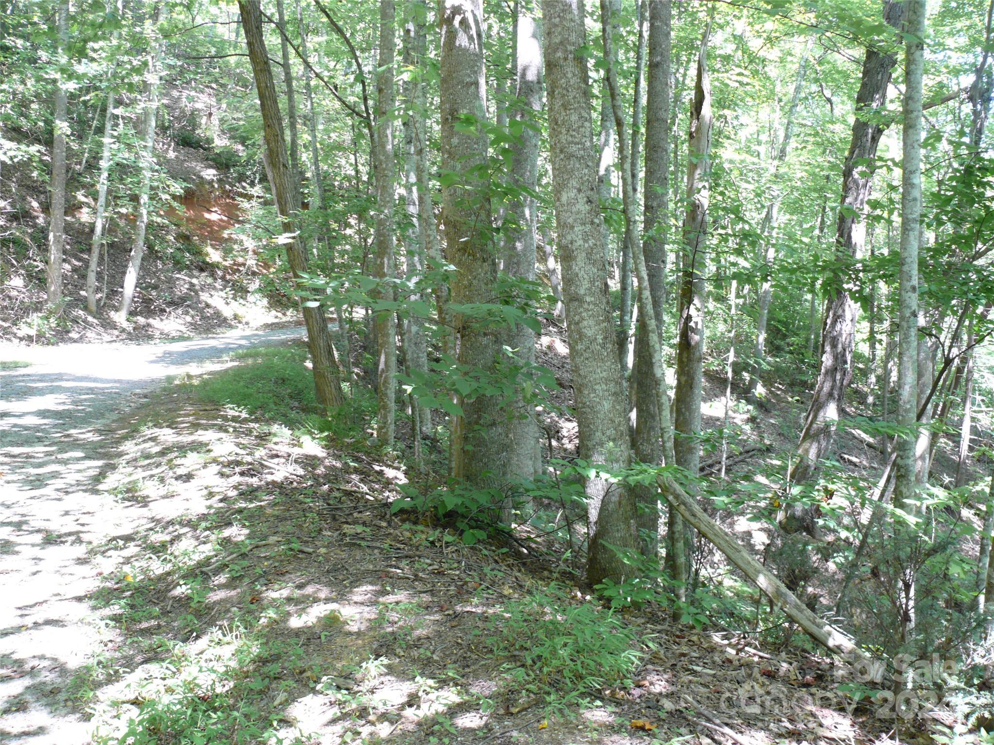 Lot 93 Rock Spring Rd Lake Lake Lure, NC 28746 - Photo 2 of 16 Gallery Image 2