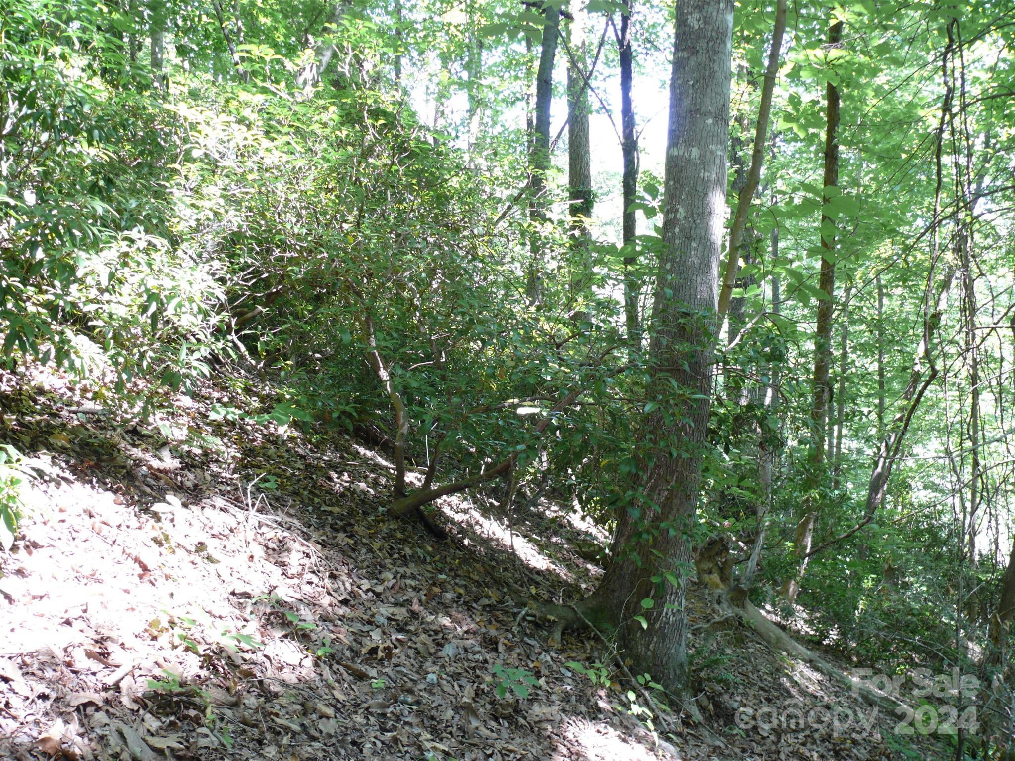 Lot 93 Rock Spring Rd Lake Lake Lure, NC 28746 - Photo 3 of 16 Gallery Image 3