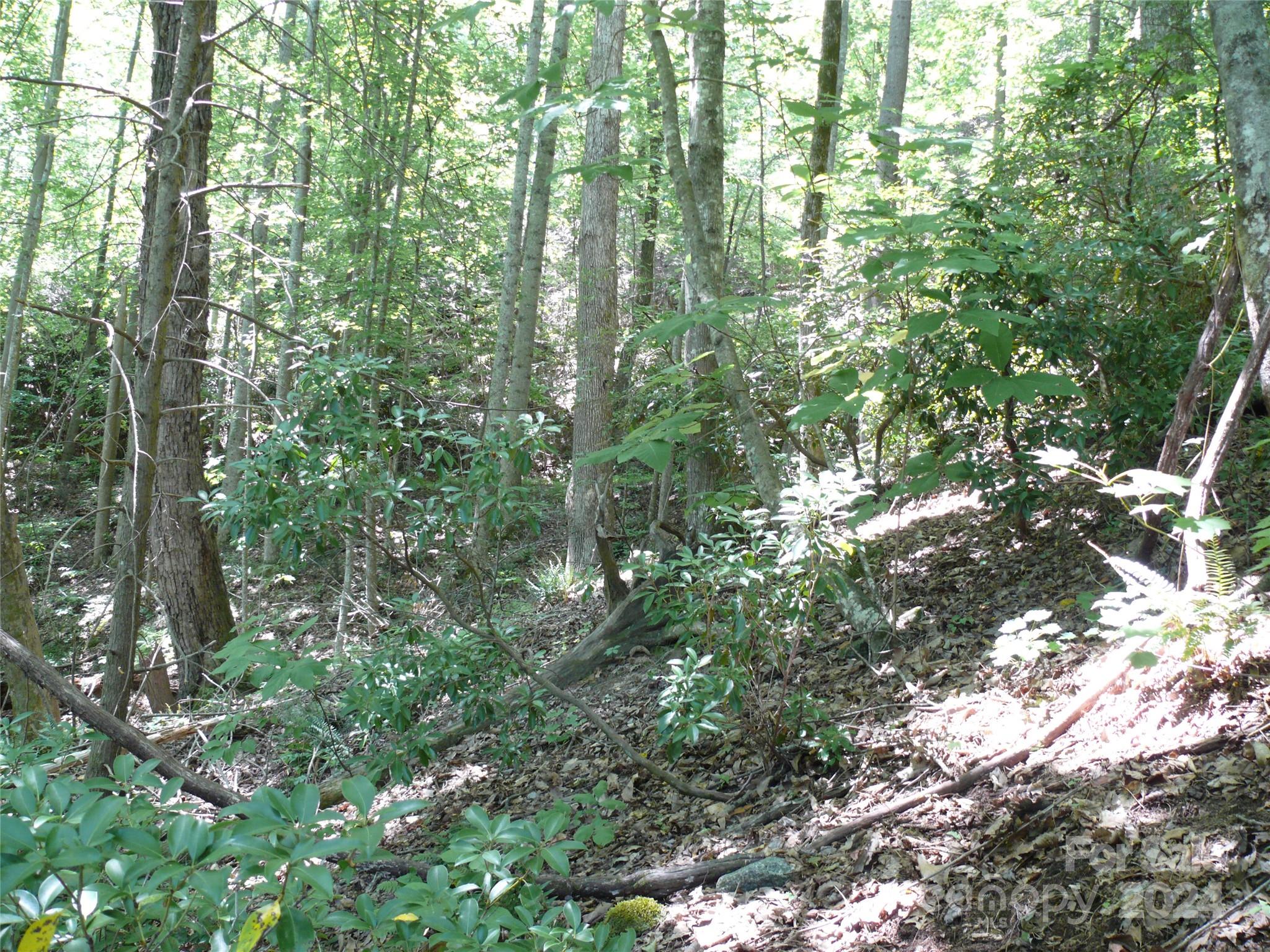 Lot 93 Rock Spring Rd Lake Lake Lure, NC 28746 - Photo 4 of 16 Gallery Image 4