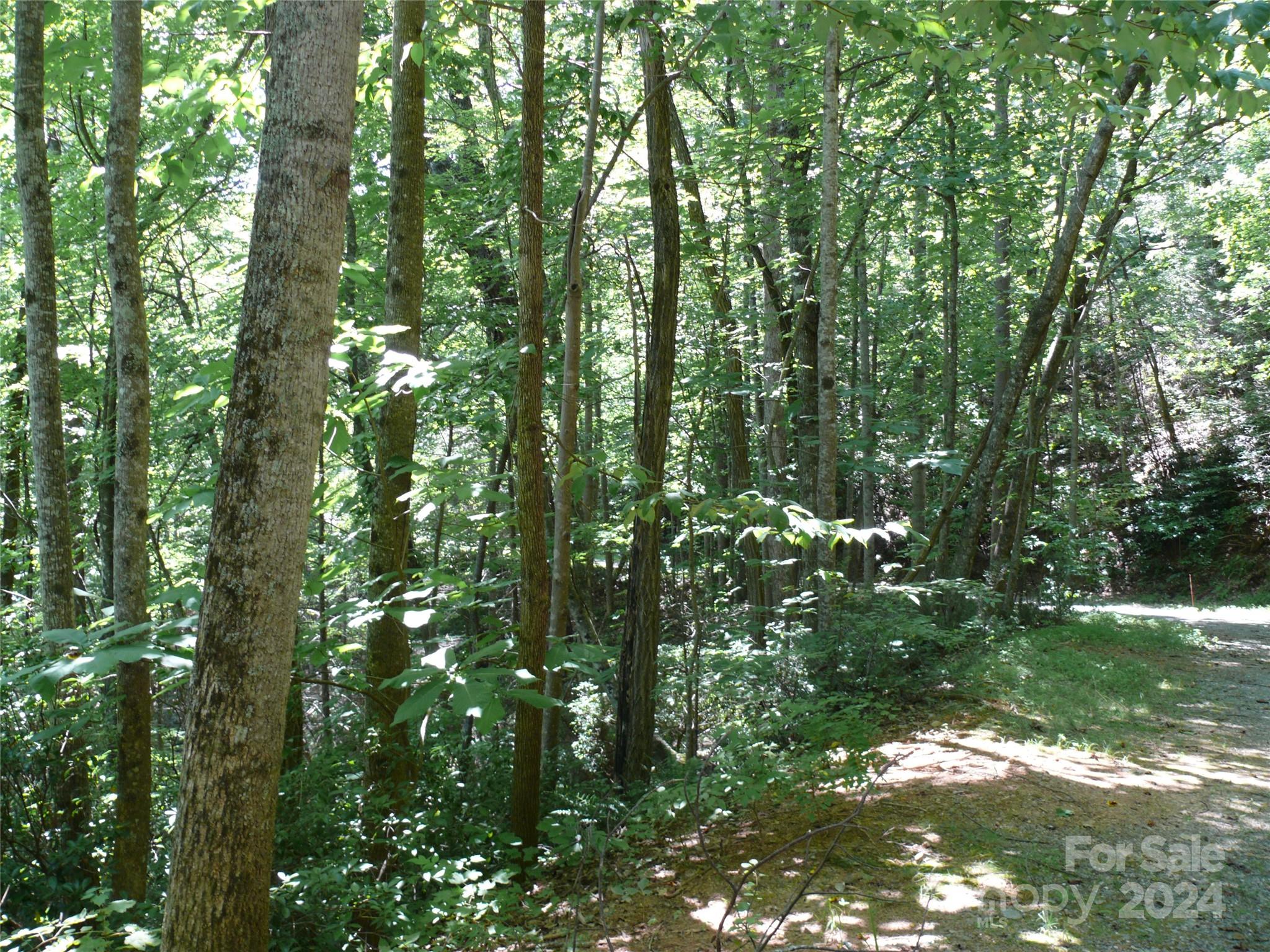 Lot 93 Rock Spring Rd Lake Lake Lure, NC 28746 - Photo 5 of 16 Gallery Image 5