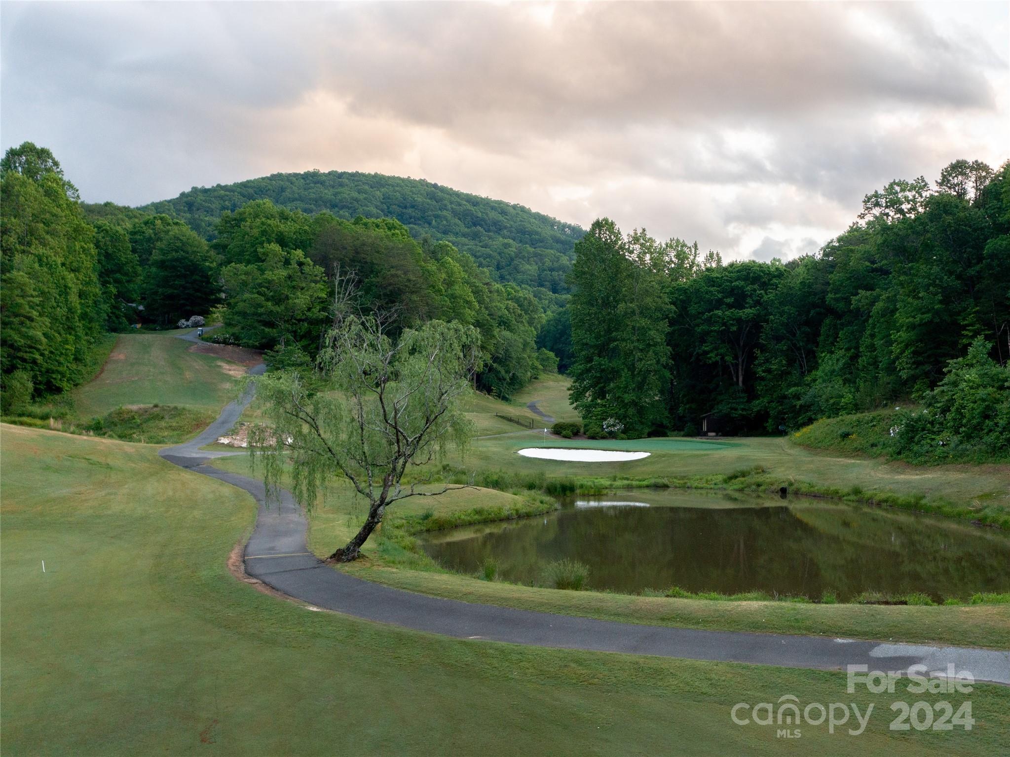 Lot 93 Rock Spring Rd Lake Lake Lure, NC 28746 - Photo 8 of 16 Gallery Image 8