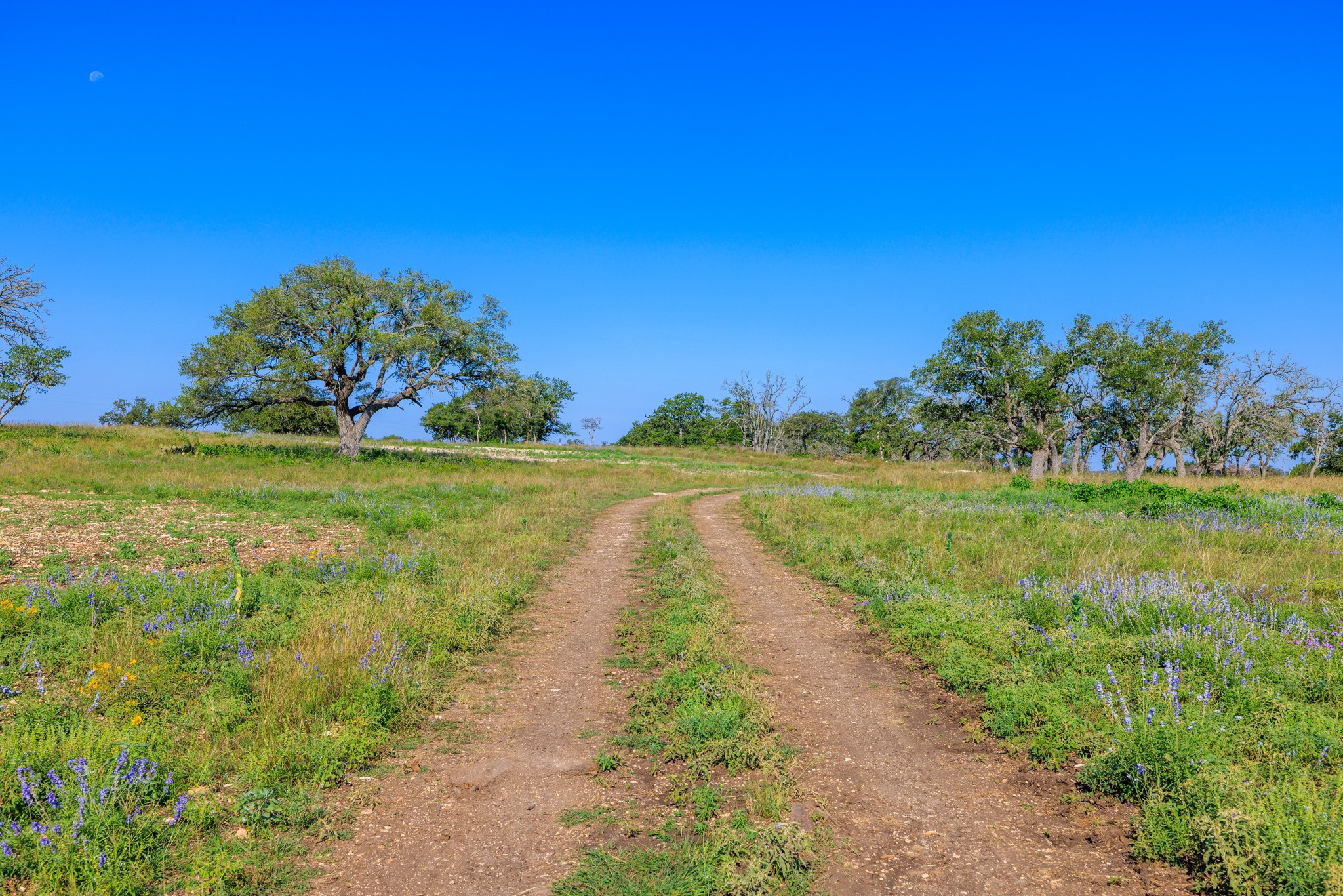 481 Living Water Ranch Road Harper, TX 78631 - Photo 10 of 30