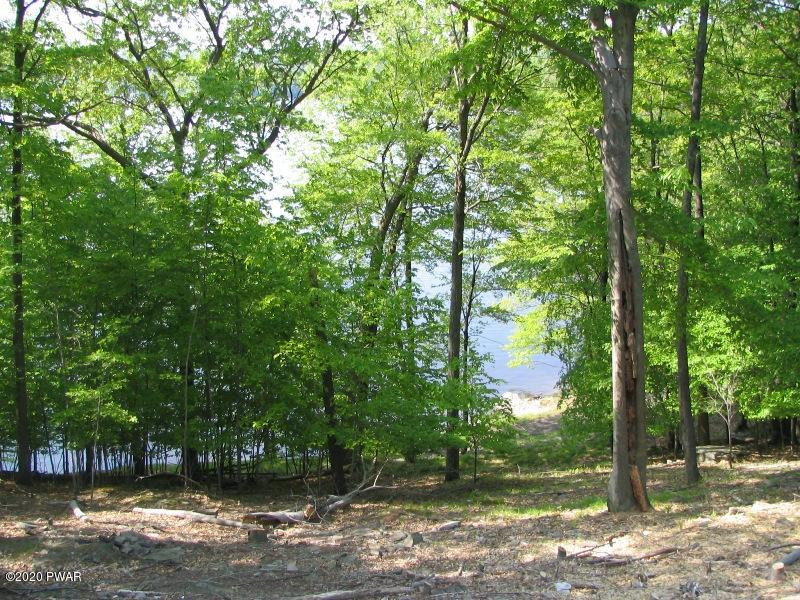 20 C Boat House Road Lake Ariel, PA 18436 - Photo 4 of 27
