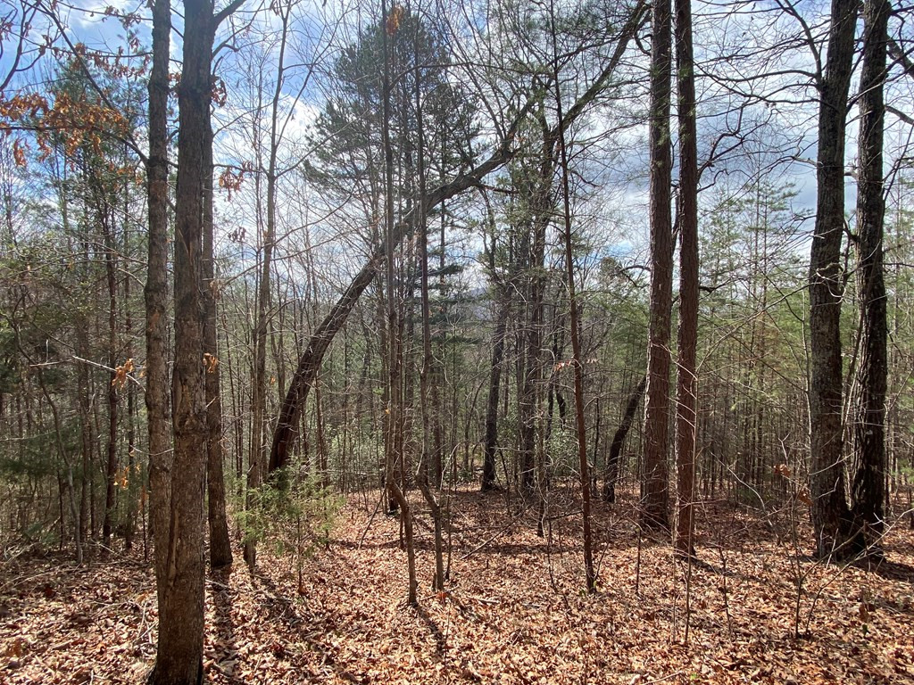 Lot 9 Turtle Ridge Trail Murphy, NC 28906 - Photo 8 of 10