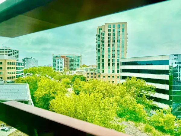 a view of a garden with a building in the back