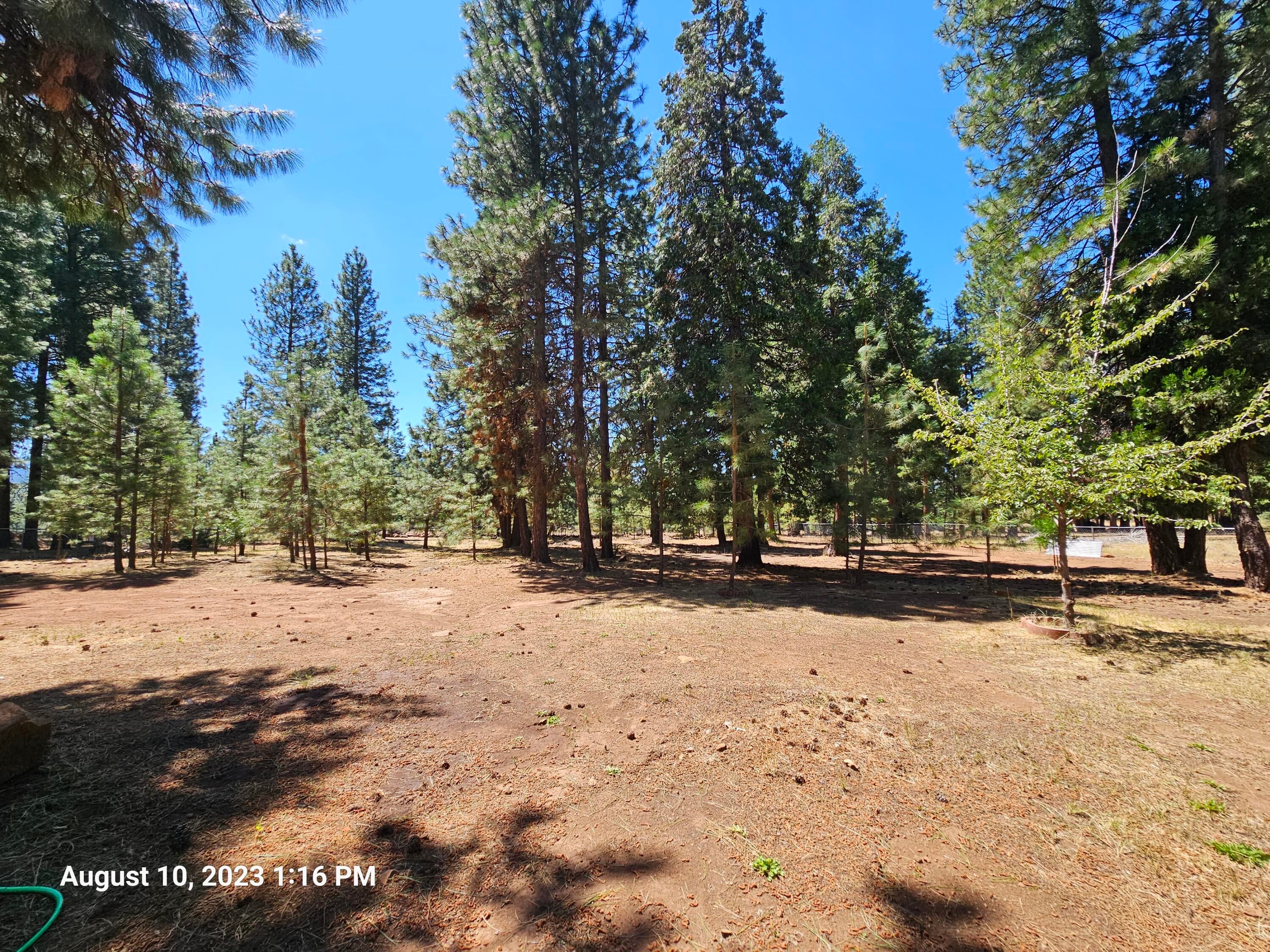 18018 Freight Rd Lane Klamath Falls, OR 97601 - Photo 19 of 33 20230810_131633