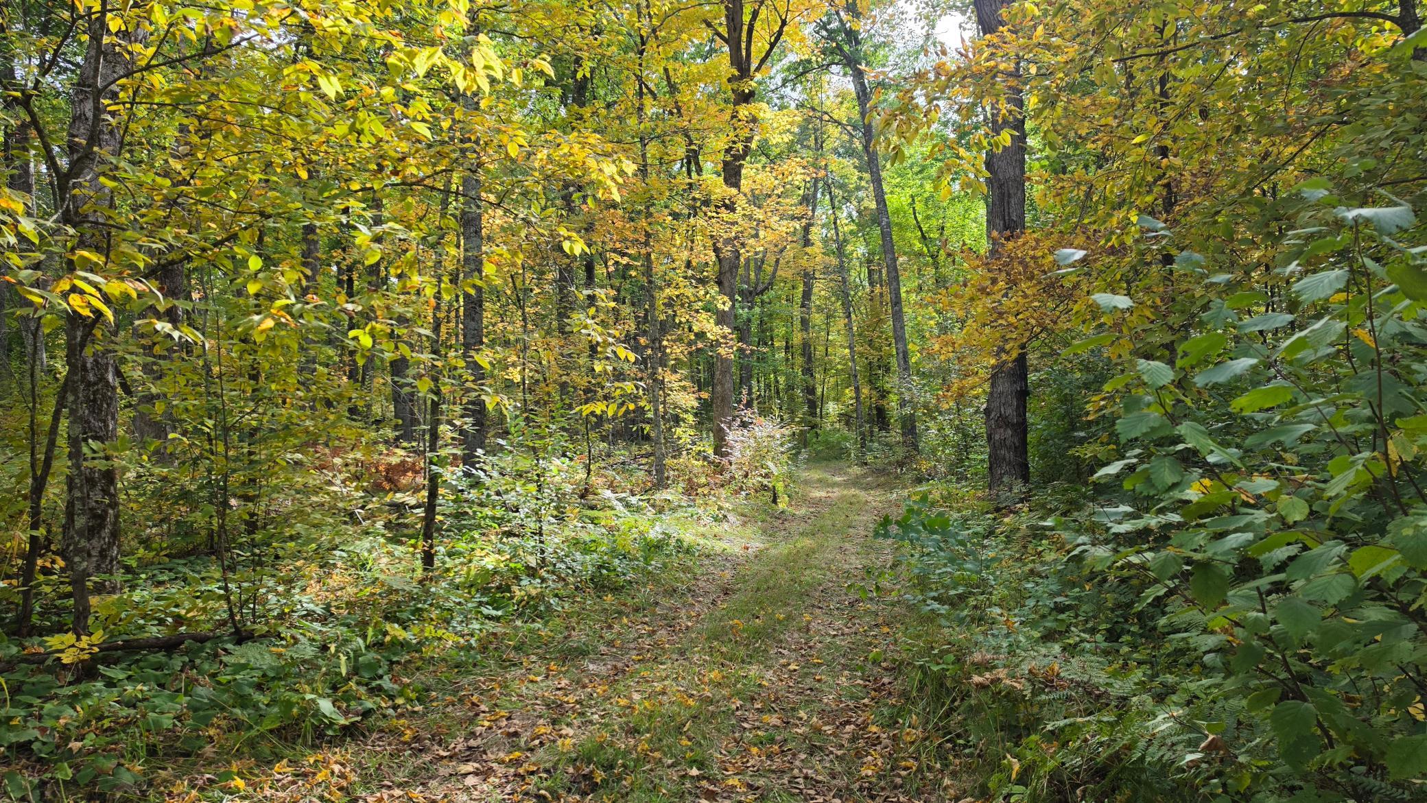 57391 Duncan Road Sandstone, MN 55072 - Photo 10 of 48 Gallery Image 10