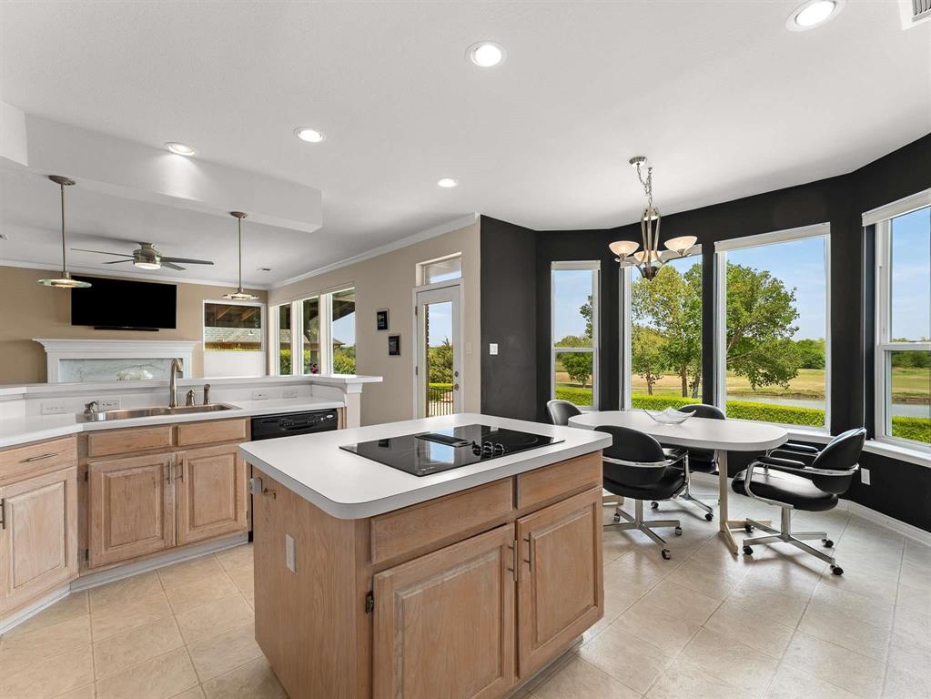 7436 Stoney Point Drive Plano, TX 75025 - Photo 34 of 40 a kitchen with counter top space appliances and a sink