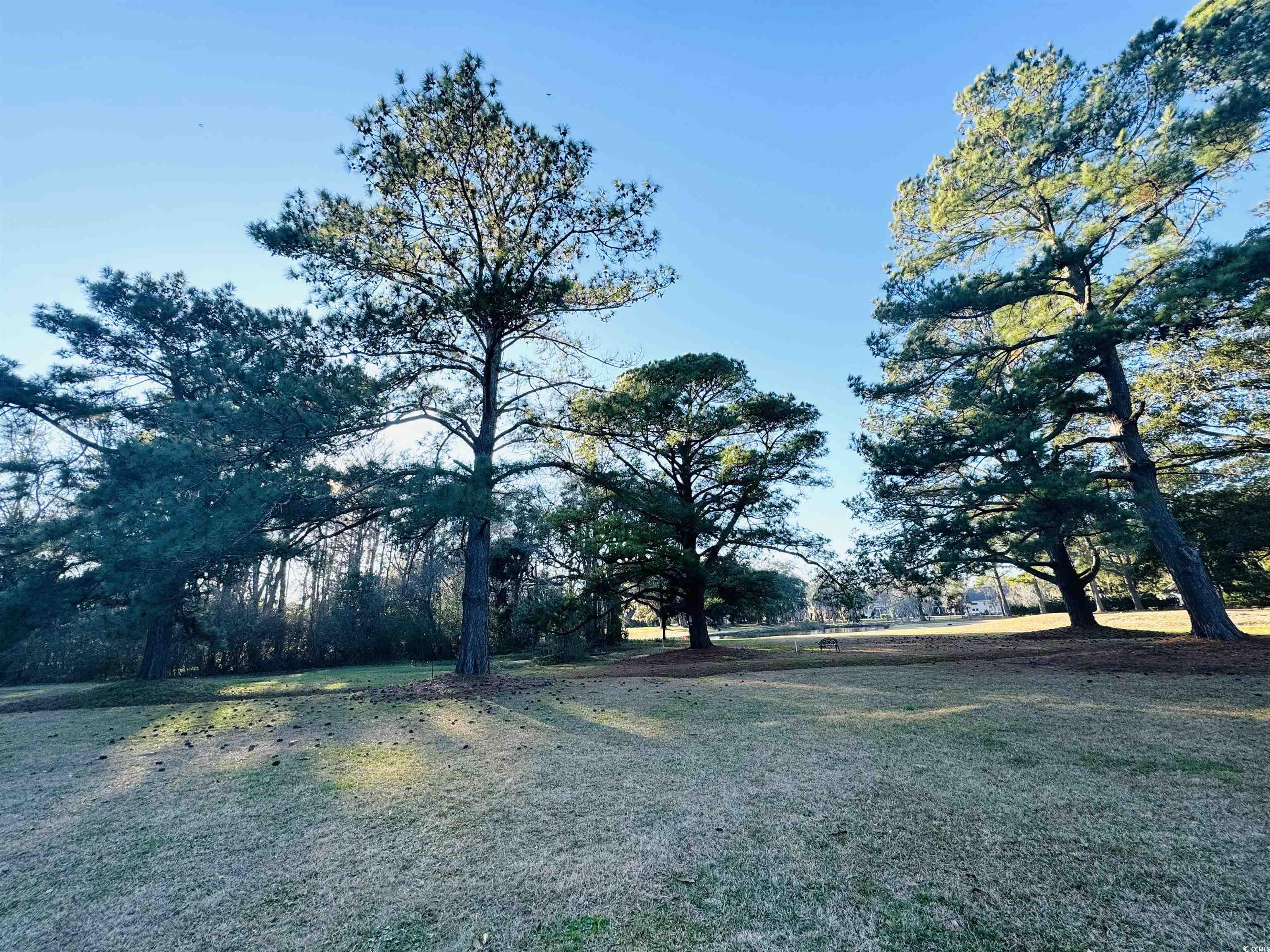 33 Wedgefield Village Road, Unit 8B Georgetown, SC 29440 - Photo 23 of 33 Gallery Image 23