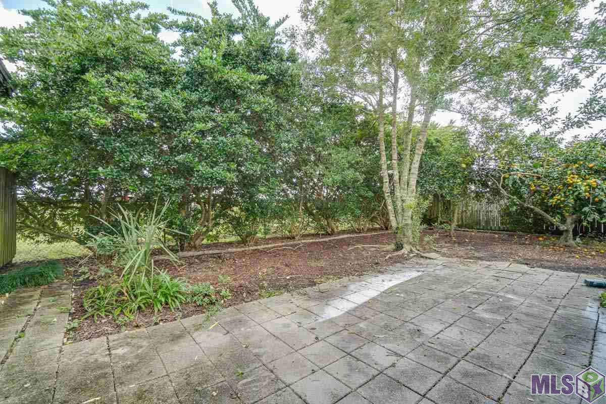 315 St Anthony Street Raceland, LA 70394 - Photo 18 of 19 Citrus Trees