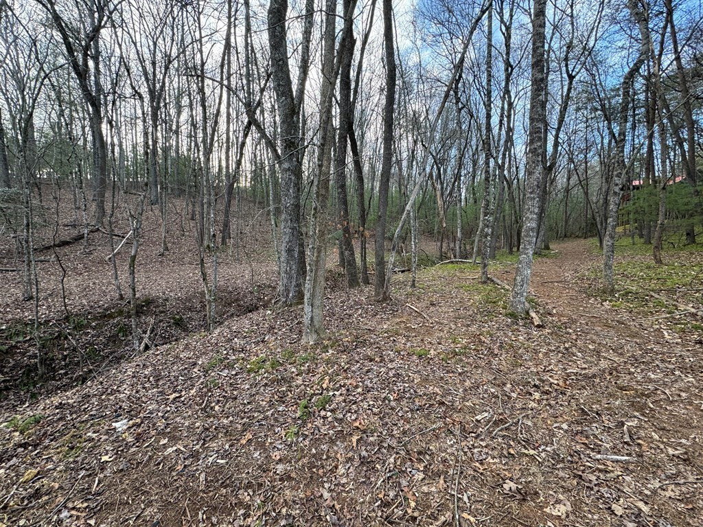 Lot 23 Blackgum Subdivision Blue Ridge Blue Ridge, GA 30513 - Photo 2 of 26