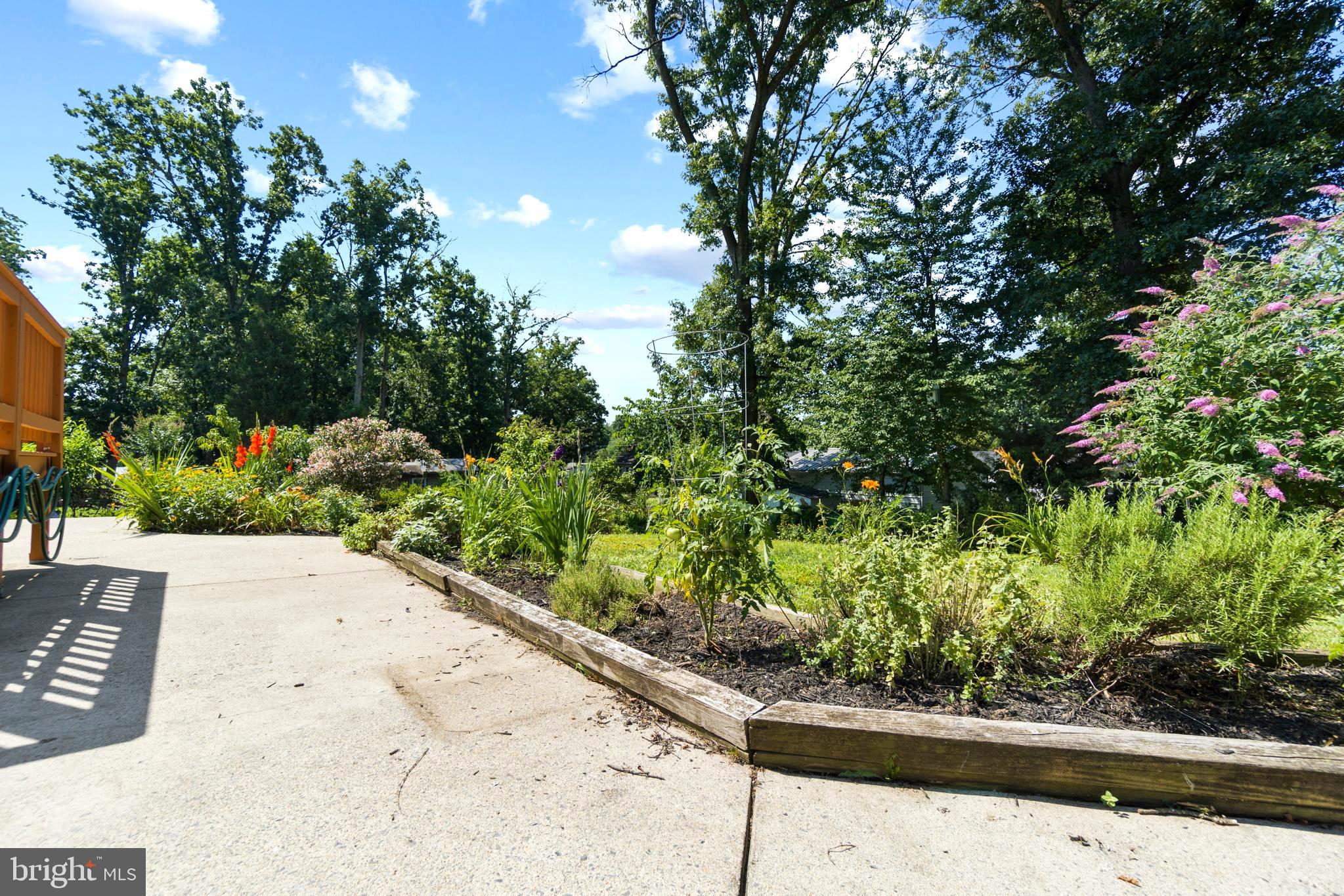 215 Hutton Street Gaithersburg, MD 20877 - Photo 26 of 36 Mint, Oregano, Rosemary
