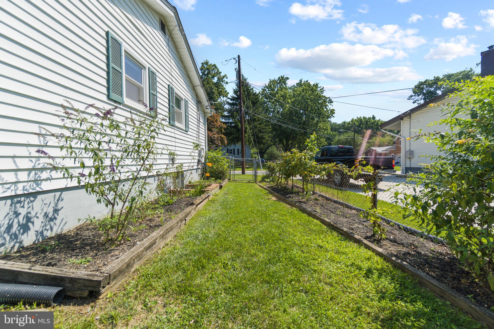 215 Hutton Street Gaithersburg, MD 20877 - Photo 28 of 36 Grape vines, strawberry patch