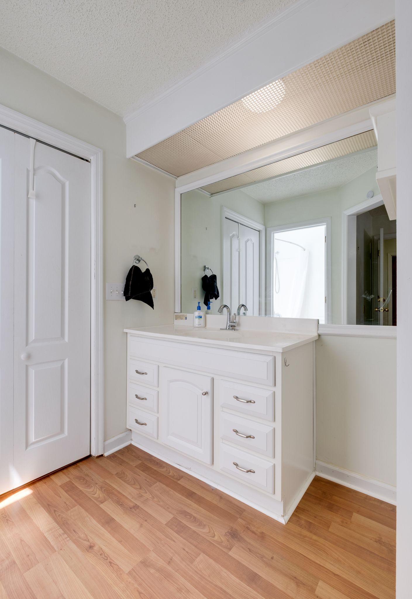 2445 Nonaville Road Mount Juliet, TN 37122 - Photo 21 of 29 a view of a double vanity sink mirror and hardwood