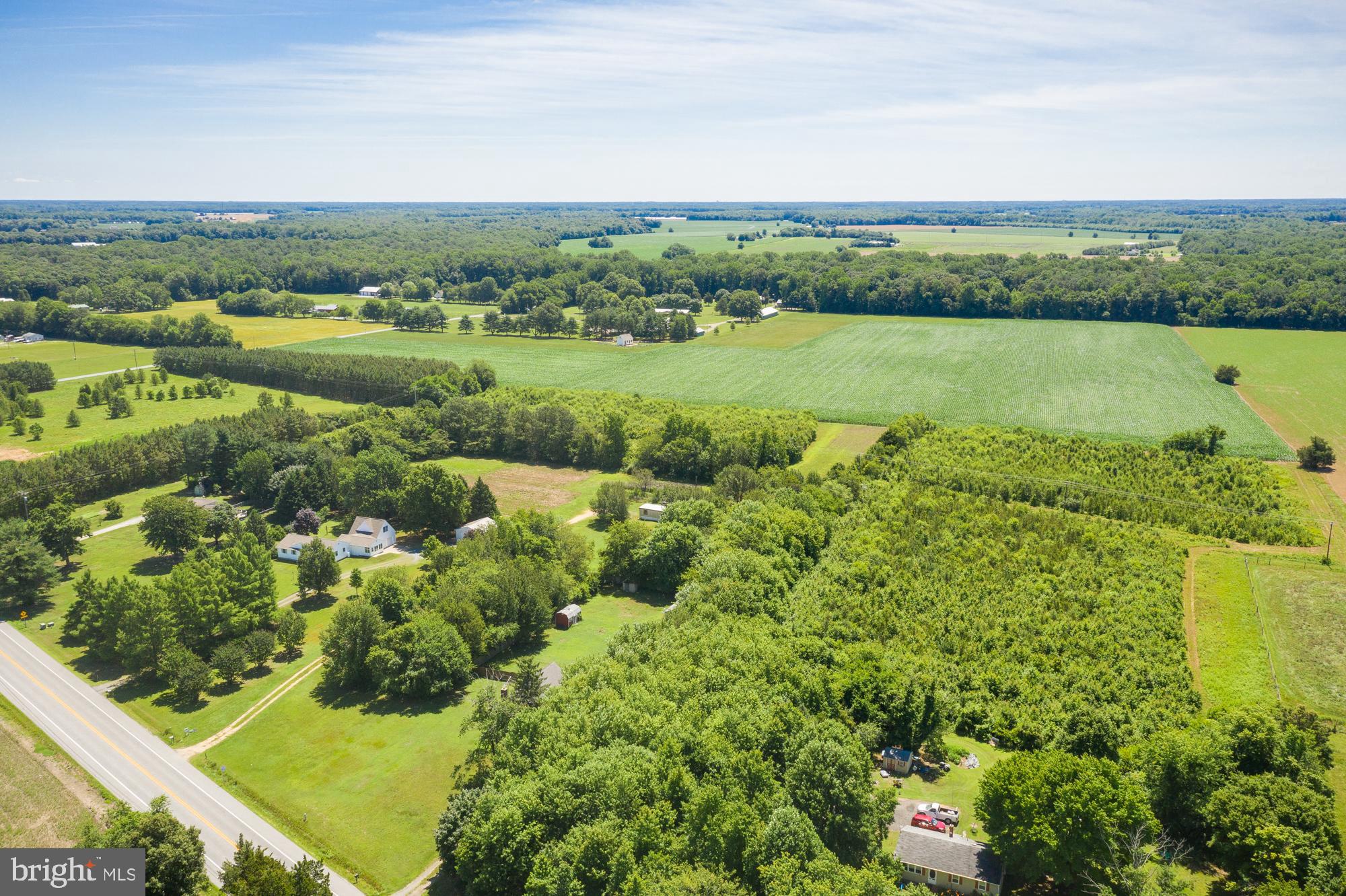 8277 Harmony Road Denton, MD 21629 - Photo 11 of 35 Gallery Image 11