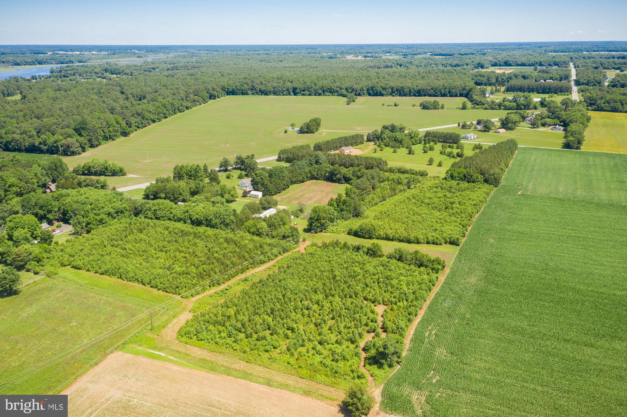 8277 Harmony Road Denton, MD 21629 - Photo 15 of 35 Gallery Image 15