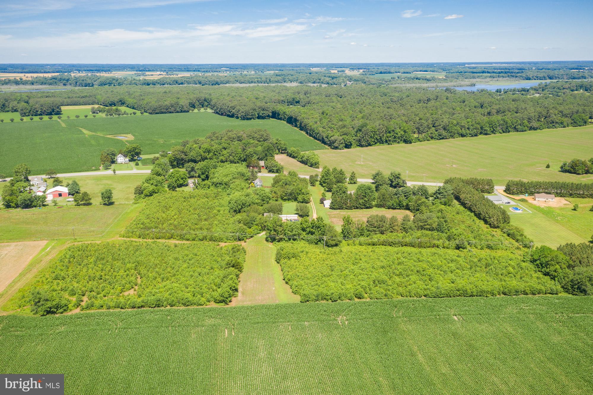 8277 Harmony Road Denton, MD 21629 - Photo 17 of 35 Gallery Image 17